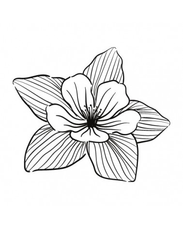 Blumen Vorlagen für Fineline Tattoo
